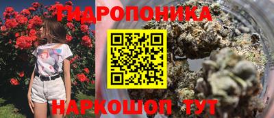 амф Краснодар