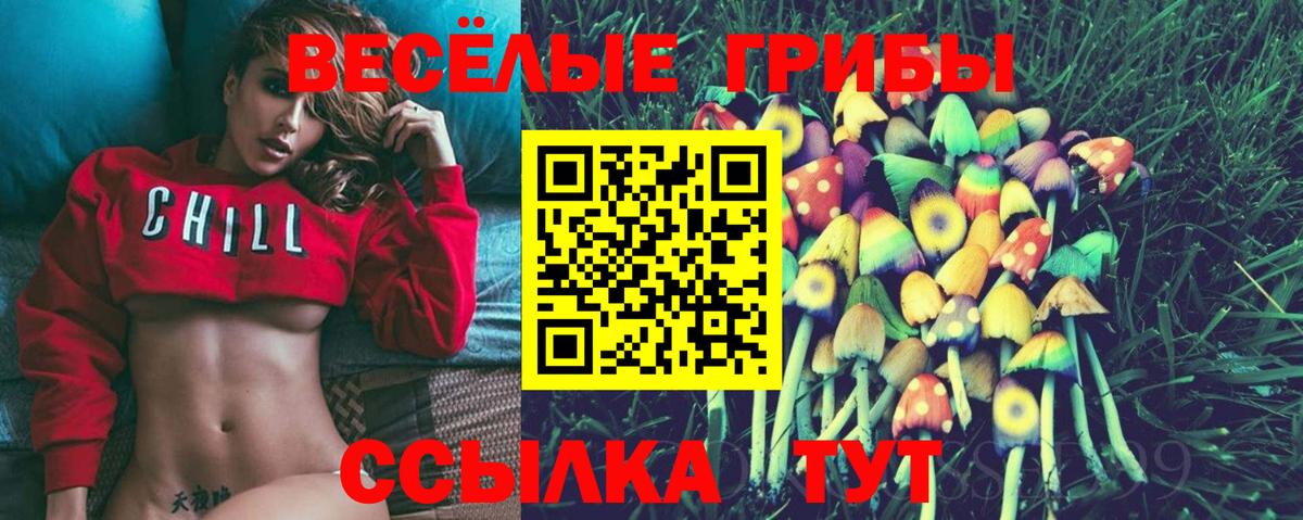 Псилоцибиновые грибы мухоморы Электрогорск