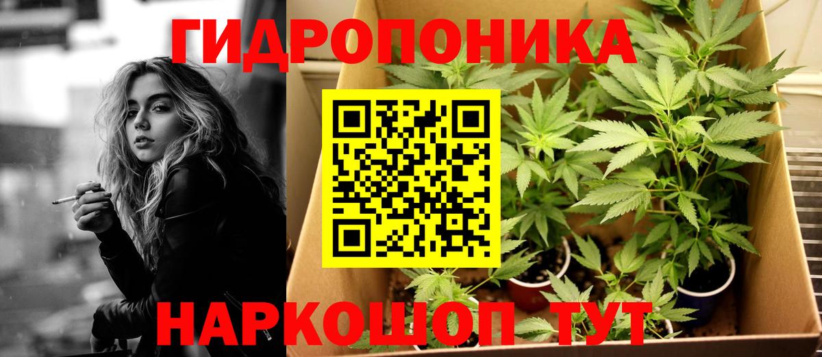 Бошки марихуана ГИДРОПОН  Вход с VPN  МАРИХУАНА план  Шишки марихуана White Widow  Каннабис ГИДРОПОН  Электрогорск 